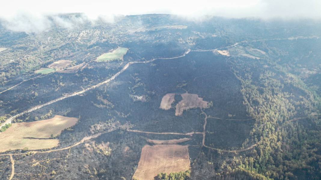 Sakarya'da başlayan yangın kontrolden çıktı: Bilecik'in ormanları siyaha büründü 7